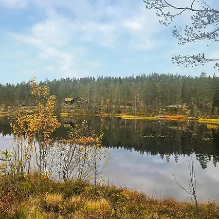 In Tinn Austbygd With Sauna Feriehus *