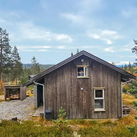 Ferienhaus In Tinn Austbygd With Sauna *